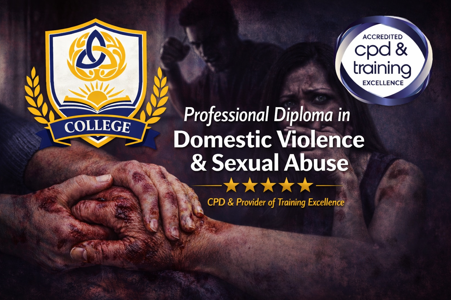 (July) Professional Diploma in Domestic Violence &amp; Sexual Abuse